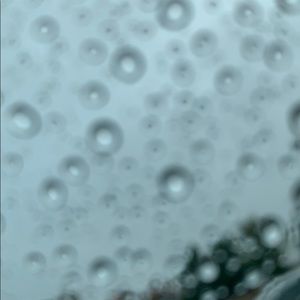 Meet your Posher, Layla